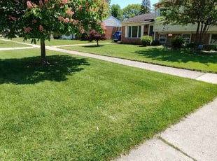 Scott P.'s grass cutting service result