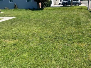 Brandi O.'s lawn care service result