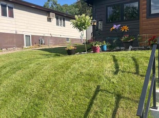 Anna K.'s lawn service service result