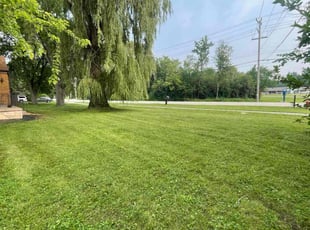 Freddie J.'s grass maintenance service result