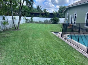 Keysha C.'s turf care service result