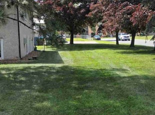 Danny W.'s grass maintenance service result