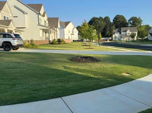 Haylee B.'s turf care service result