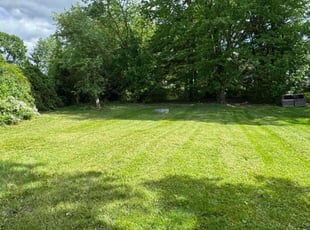 Phillip G.'s lawn maintenance service result
