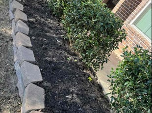 Richard R.'s Bush Trimming service result