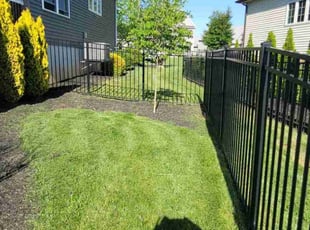 Donald P.'s grass cutting service result