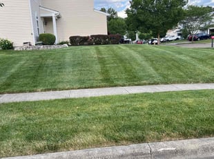 Tonya B.'s grass maintenance service result