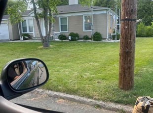 Aimee W.'s turf maintenance service result
