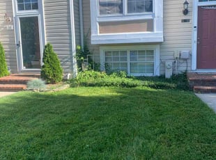 Brian D.'s turf maintenance service result