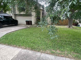 George W.'s turf maintenance service result
