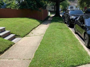 Paul Y.'s lawn care service result