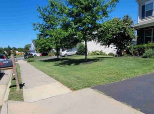 Ojas P.'s turf care service result
