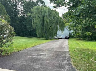 Olivia B.'s turf maintenance service result