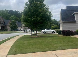 Jonathan B.'s lawn service service result