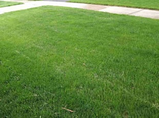 Kristi H.'s lawn care services service result