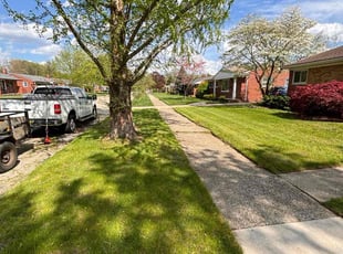 Dan C.'s lawn care service result