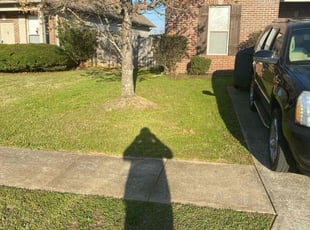 Dora M.'s grass cutting service result