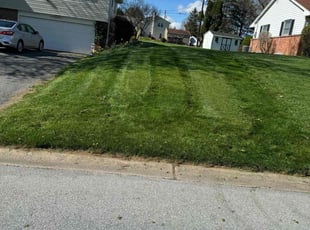 Lester L.'s lawn care service result