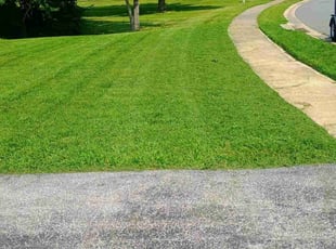 Tom H.'s lawn maintenance service result