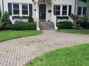 Maryann L.'s lawn service service result