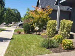 Kimberly P.'s grass maintenance service result