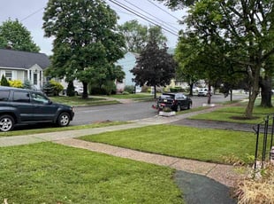 Ahmed B.'s lawn care services service result