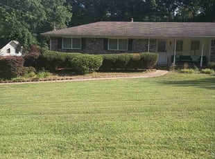 Matia H.'s turf care service result