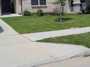 Adam B.'s lawn maintenance service result