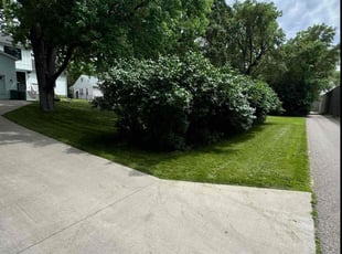 Ruby R.'s Other service result