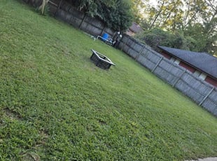 Jeffrey H.'s grass maintenance service result