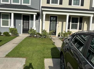 Bernadette M.'s turf care service result