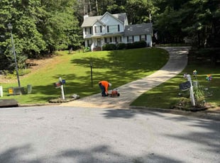 Ms. B.'s lawn service service result