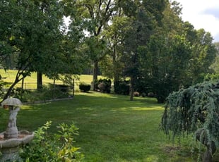 Tyler B.'s lawn service service result