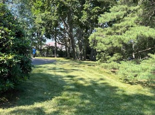 Quasia J.'s grass maintenance service result