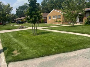 Patricia S.'s lawn service service result