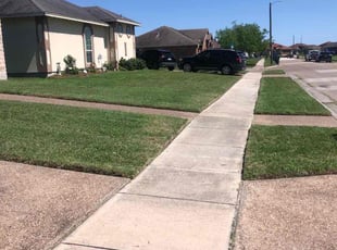 Guy E.'s yard care service result
