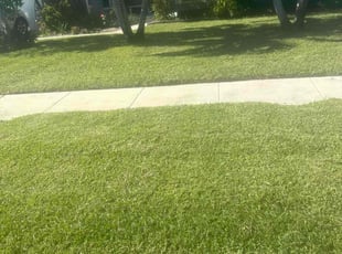 Chet H.'s lawn care service result