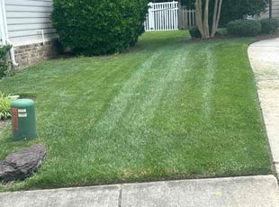 Mike G.'s lawn service service result