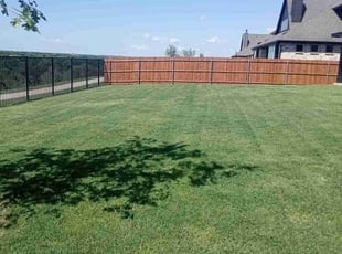 Courtney B.'s lawn care service result