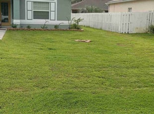 Melissa L.'s lawn maintenance service result