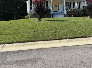 Gwynne M.'s landscaping service result
