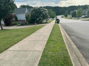 Yongsuk C.'s lawn service service result