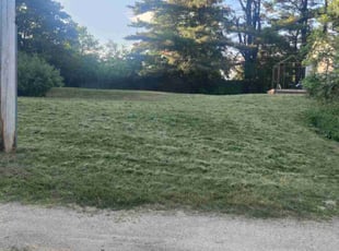 Brenda P.'s grass maintenance service result