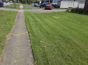 David F.'s turf care service result