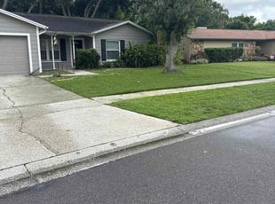 Michael A.'s turf care service result