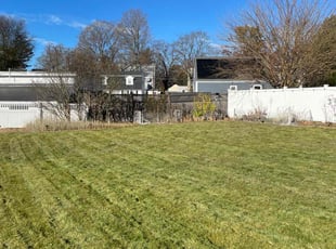 Mr B.'s lawn care service result