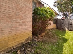 Alicia P.'s Bush Trimming service result
