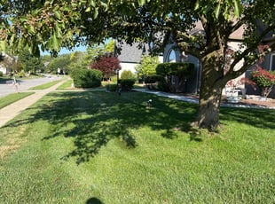 Linda L.'s turf maintenance service result