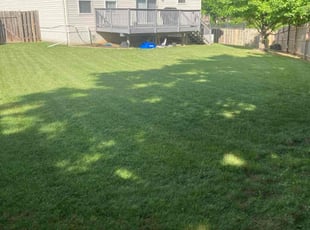 Ryan G.'s lawn care service result