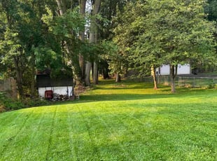 Sarah H.'s lawn service service result